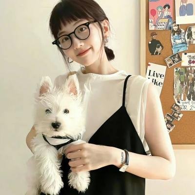 狮子狗行动
